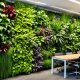 Ingin Membuat Vertical Garden yang Estetik? Coba Perhatikan Hal Ini